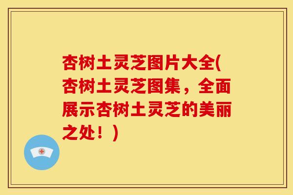 杏树土灵芝图片大全(杏树土灵芝图集,全面展示杏树土灵芝的美丽之处!)