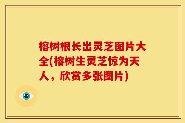 榕树根长出灵芝图片大全(榕树生灵芝惊为天人,欣赏多张图片)