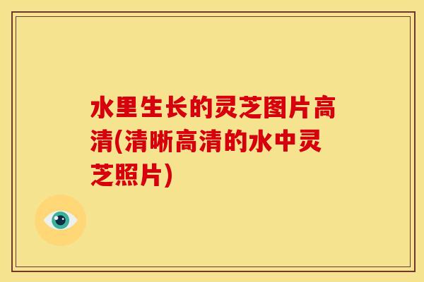水里生长的灵芝图片高清(清晰高清的水中灵芝照片)