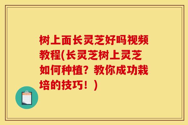 树上面长灵芝好吗视频教程(长灵芝树上灵芝如何种植?教你成功栽培的技巧!)