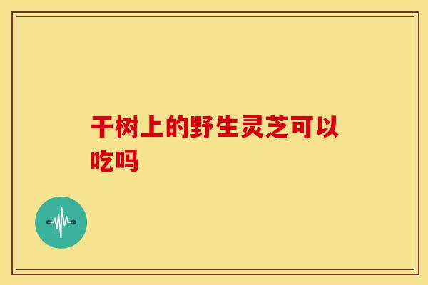 干树上的野生灵芝可以吃吗