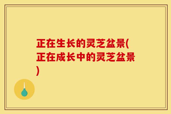 正在生长的灵芝盆景(正在成长中的灵芝盆景)