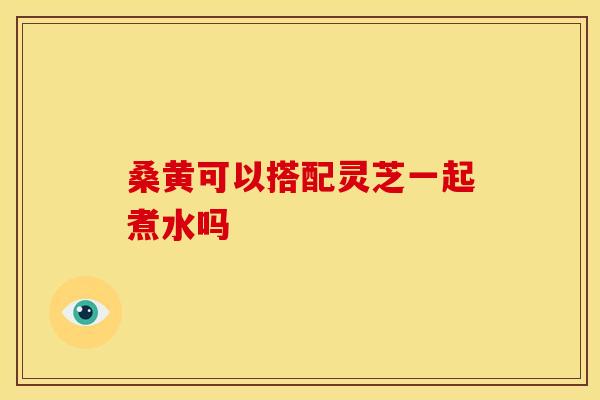 桑黄可以搭配灵芝一起煮水吗