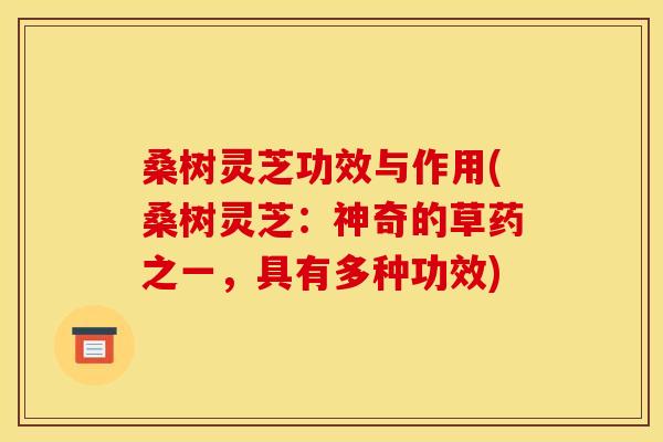 桑树灵芝功效与作用(桑树灵芝:神奇的草药之一,具有多种功效)