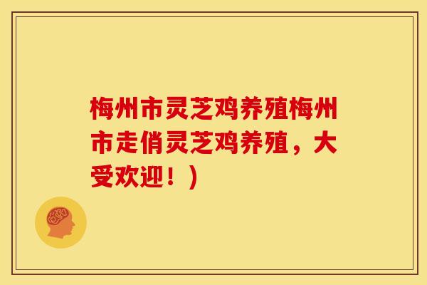 梅州市灵芝鸡养殖梅州市走俏灵芝鸡养殖,大受欢迎!)