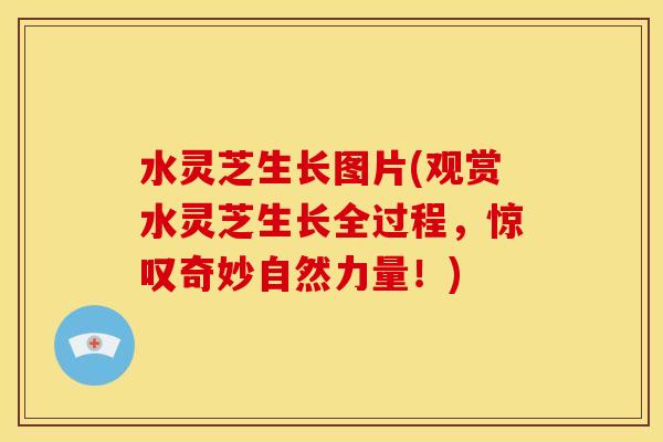 水灵芝生长图片(观赏水灵芝生长全过程,惊叹奇妙自然力量!)