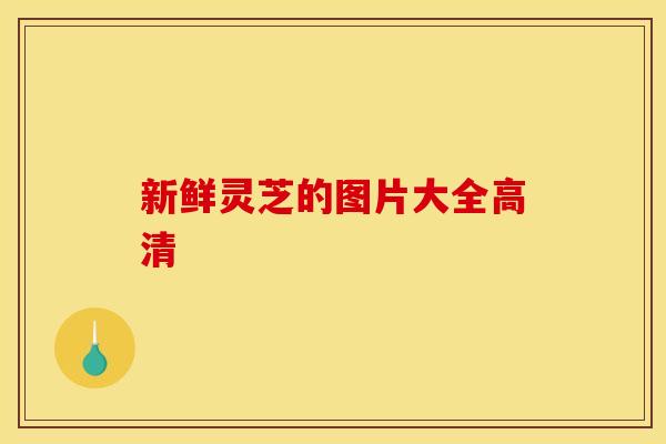 新鲜灵芝的图片大全高清