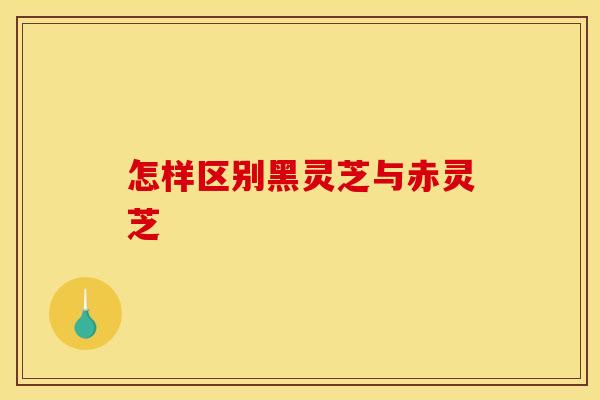 怎样区别黑灵芝与赤灵芝