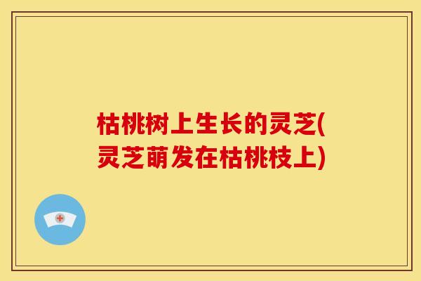 枯桃树上生长的灵芝(灵芝萌发在枯桃枝上)