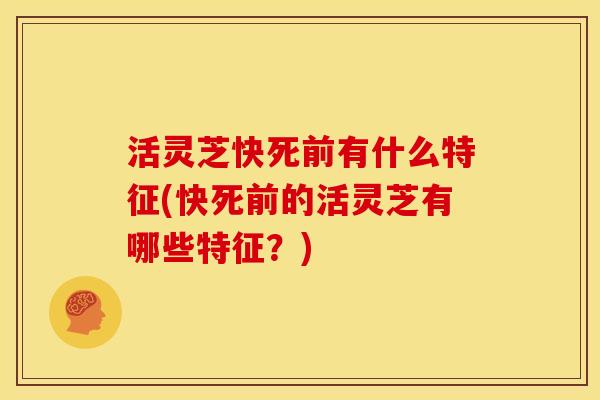 活灵芝快死前有什么特征(快死前的活灵芝有哪些特征?)
