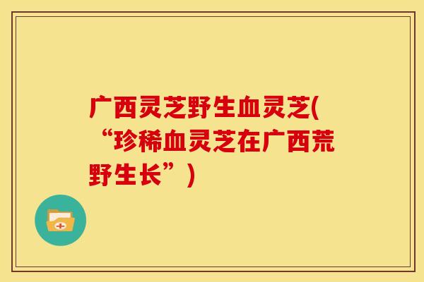 广西灵芝野生血灵芝(“珍稀血灵芝在广西荒野生长”)