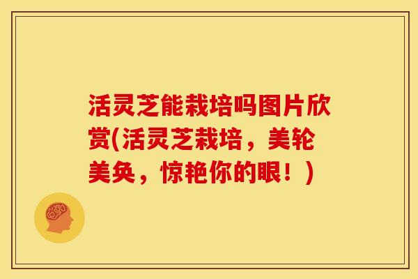 活灵芝能栽培吗图片欣赏(活灵芝栽培,美轮美奂,惊艳你的眼!)