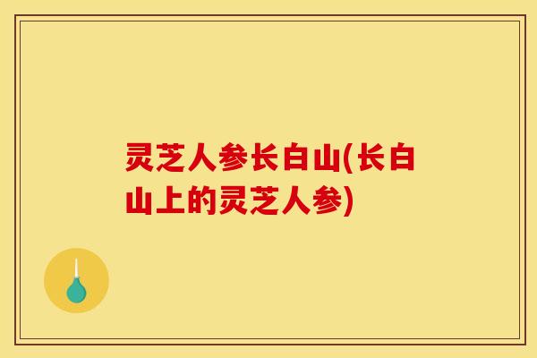 灵芝人参长白山(长白山上的灵芝人参)