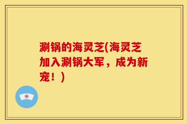 涮锅的海灵芝(海灵芝加入涮锅大军,成为新宠!)