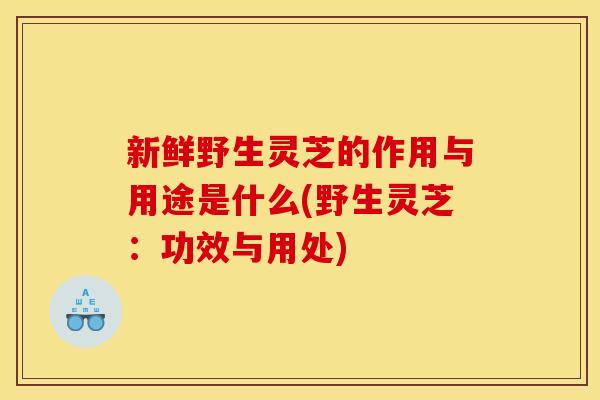 新鲜野生灵芝的作用与用途是什么(野生灵芝：功效与用处)