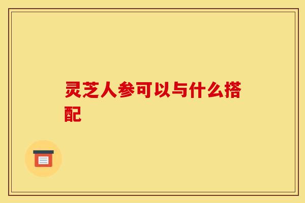 灵芝人参可以与什么搭配