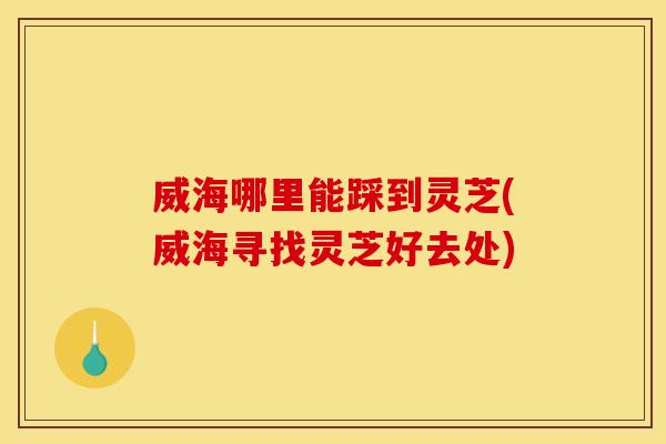 威海哪里能踩到灵芝(威海寻找灵芝好去处)