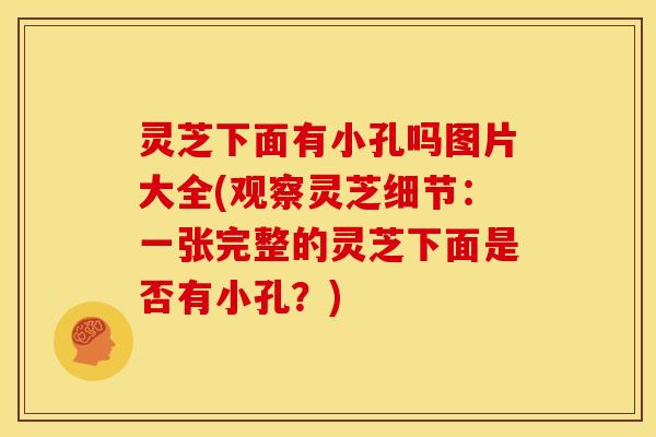 灵芝下面有小孔吗图片大全(观察灵芝细节：一张完整的灵芝下面是否有小孔？)