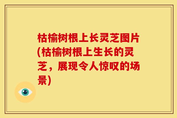 枯榆树根上长灵芝图片(枯榆树根上生长的灵芝，展现令人惊叹的场景)