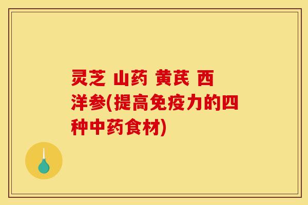 灵芝 山药 黄芪 西洋参(提高免疫力的四种中药食材)