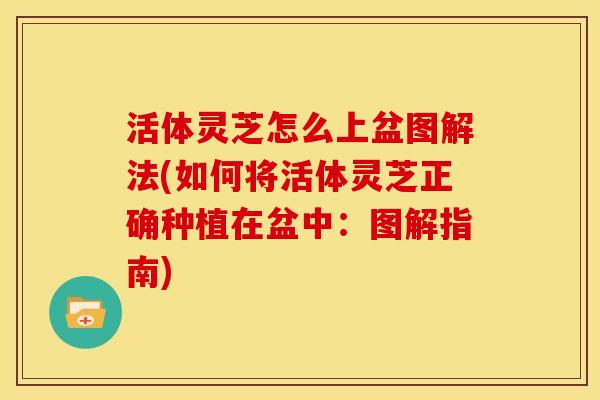 活体灵芝怎么上盆图解法(如何将活体灵芝正确种植在盆中:图解指南)