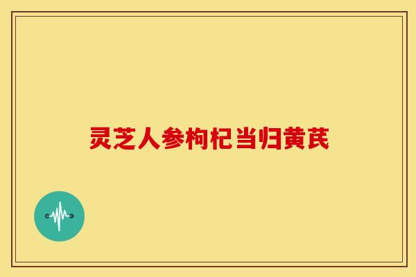 灵芝人参枸杞当归黄芪