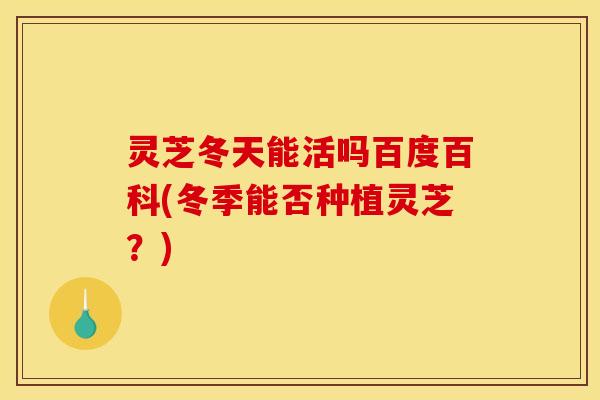 灵芝冬天能活吗百度百科(冬季能否种植灵芝?)