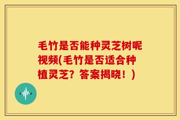 毛竹是否能种灵芝树呢视频(毛竹是否适合种植灵芝?答案揭晓!)