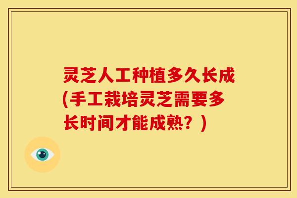 灵芝人工种植多久长成(手工栽培灵芝需要多长时间才能成熟？)