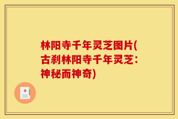 林阳寺千年灵芝图片(古刹林阳寺千年灵芝：神秘而神奇)