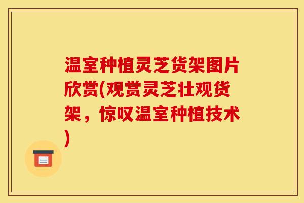 温室种植灵芝货架图片欣赏(观赏灵芝壮观货架,惊叹温室种植技术)