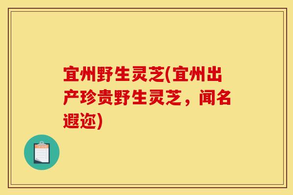宜州野生灵芝(宜州出产珍贵野生灵芝,闻名遐迩)