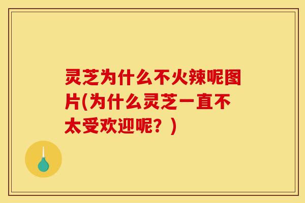 灵芝为什么不火辣呢图片(为什么灵芝一直不太受欢迎呢？)
