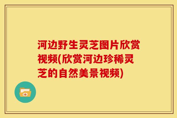 河边野生灵芝图片欣赏视频(欣赏河边珍稀灵芝的自然美景视频)
