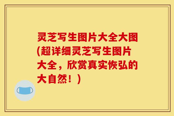 灵芝写生图片大全大图(超详细灵芝写生图片大全,欣赏真实恢弘的大自然!)