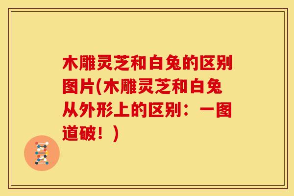 木雕灵芝和白兔的区别图片(木雕灵芝和白兔从外形上的区别:一图道破!)
