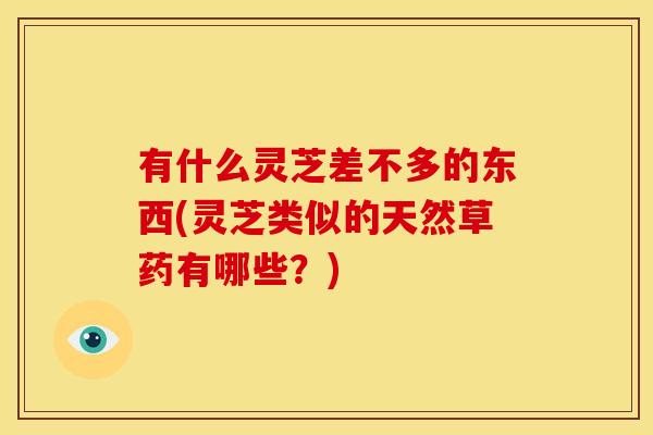 有什么灵芝差不多的东西(灵芝类似的天然草药有哪些?)