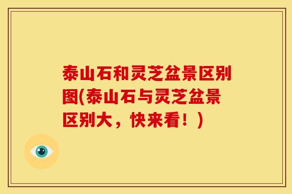 泰山石和灵芝盆景区别图(泰山石与灵芝盆景区别大,快来看!)