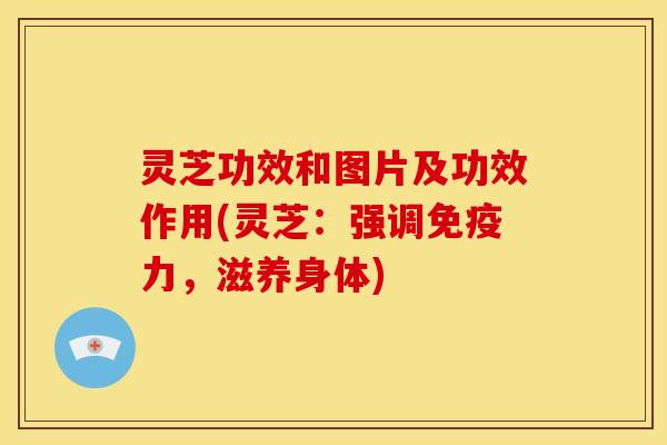 灵芝功效和图片及功效作用(灵芝:强调免疫力,滋养身体)