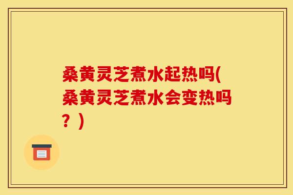 桑黄灵芝煮水起热吗(桑黄灵芝煮水会变热吗?)