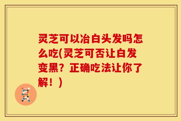 灵芝可以冶白头发吗怎么吃(灵芝可否让白发变黑?正确吃法让你了解!)
