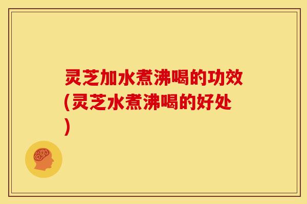 灵芝加水煮沸喝的功效(灵芝水煮沸喝的好处)
