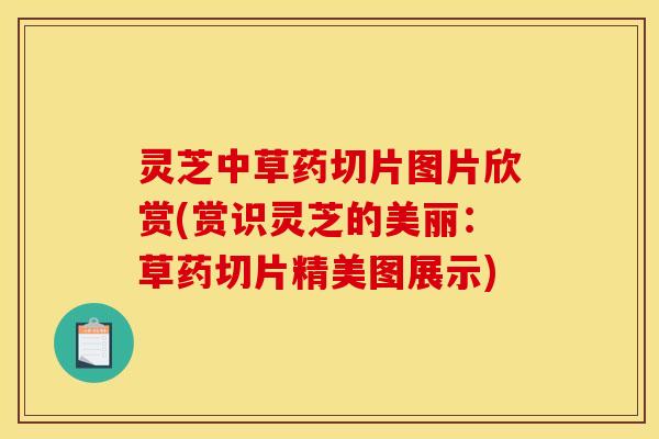 灵芝中草药切片图片欣赏(赏识灵芝的美丽:草药切片精美图展示)