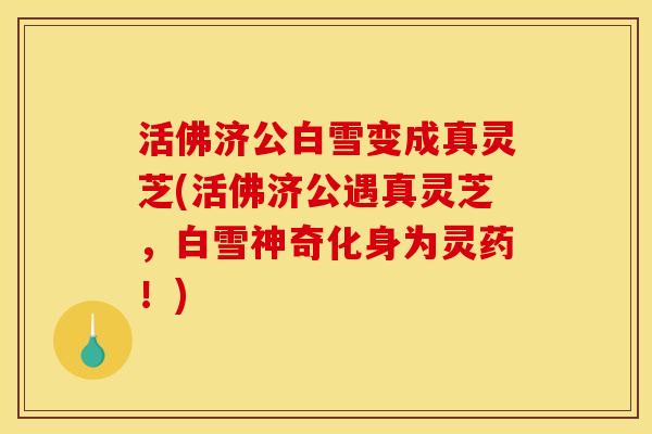 活佛济公白雪变成真灵芝(活佛济公遇真灵芝,白雪神奇化身为灵药!)