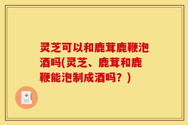 灵芝可以和鹿茸鹿鞭泡酒吗(灵芝、鹿茸和鹿鞭能泡制成酒吗？)