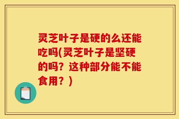 灵芝叶子是硬的么还能吃吗(灵芝叶子是坚硬的吗？这种部分能不能食用？)