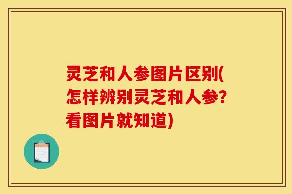 灵芝和人参图片区别(怎样辨别灵芝和人参?看图片就知道)