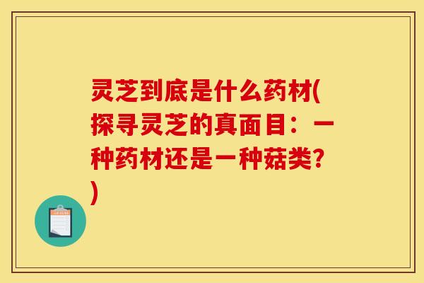 灵芝到底是什么药材(探寻灵芝的真面目:一种药材还是一种菇类?)