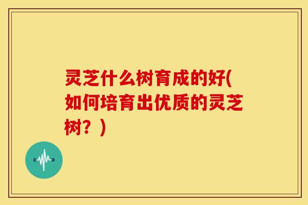 灵芝什么树育成的好(如何培育出优质的灵芝树?)