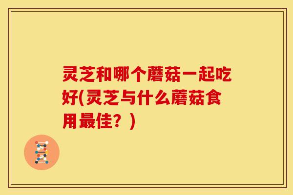 灵芝和哪个蘑菇一起吃好(灵芝与什么蘑菇食用最佳？)